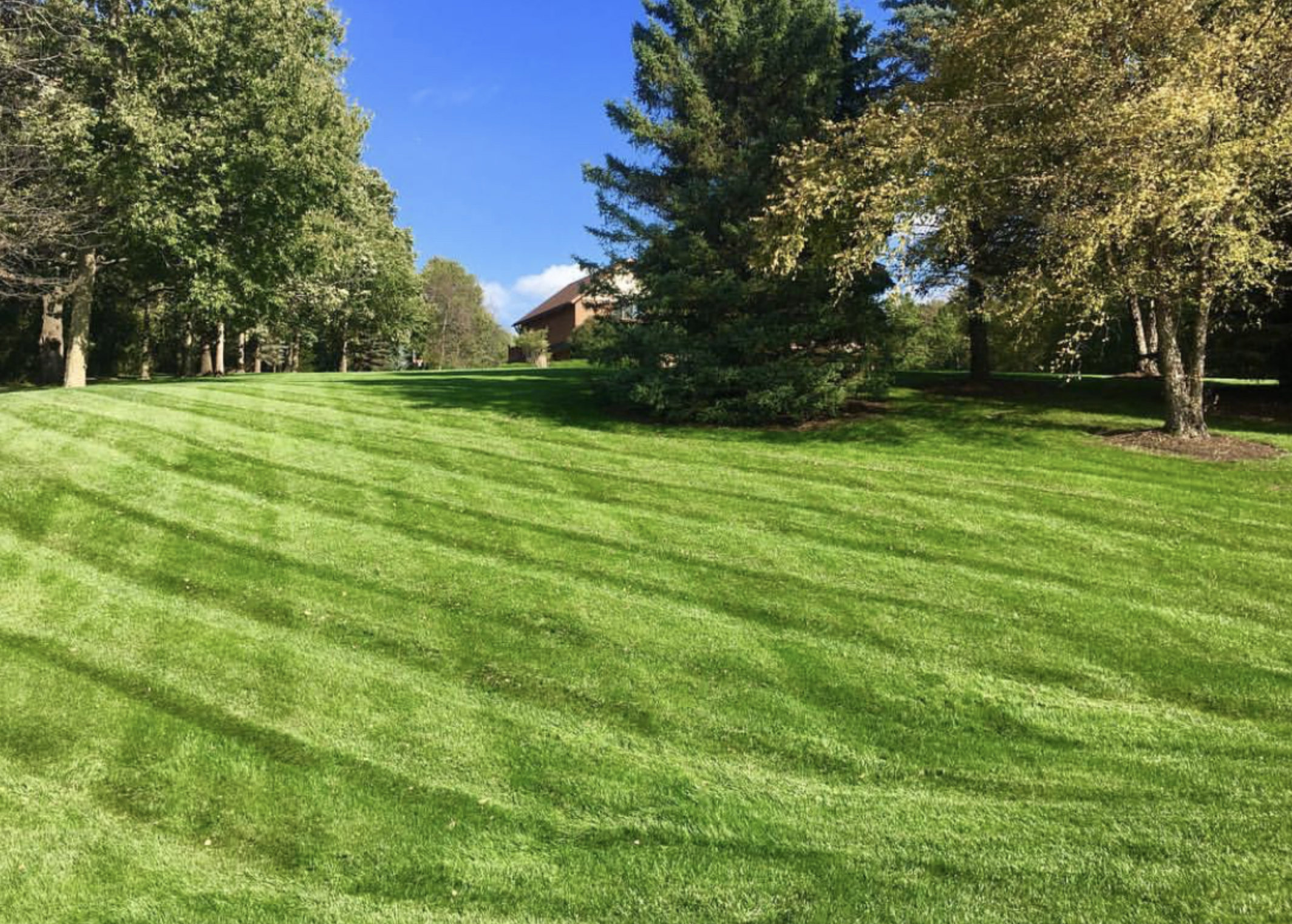laufenberg lawn care and lawn mowing