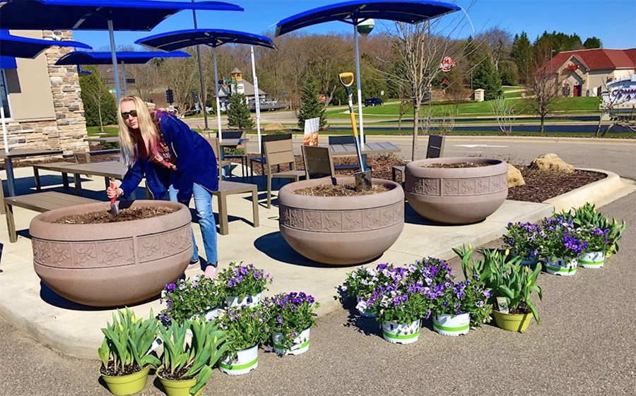 commercial lawn care and landscaping services