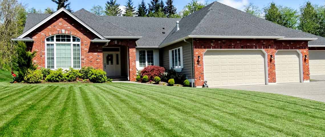 lawncare services, lawn mowing, trimming, lawn grooming